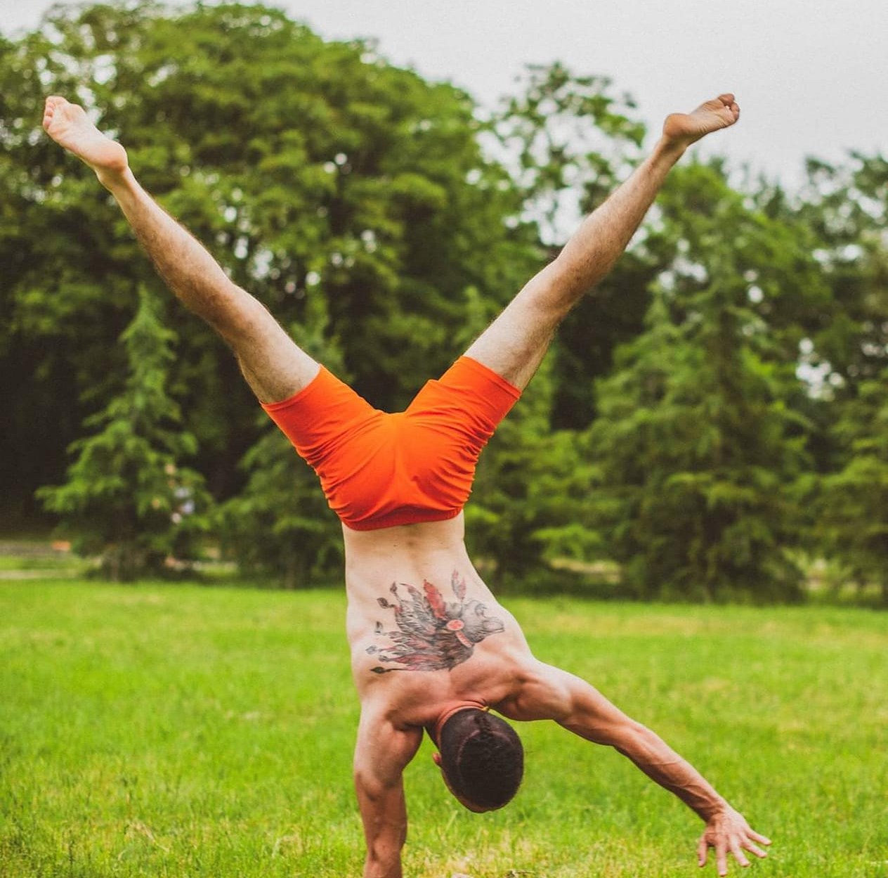 რეზი დავითაშვილი